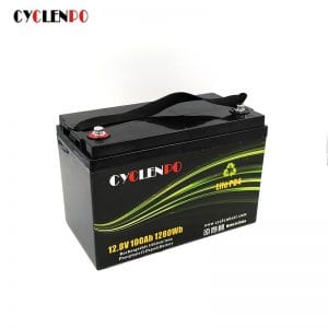 High Performance 12v 100ah Lifepo4 Battery with BMS 