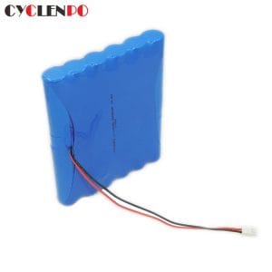 lithium ion rechargeable battery