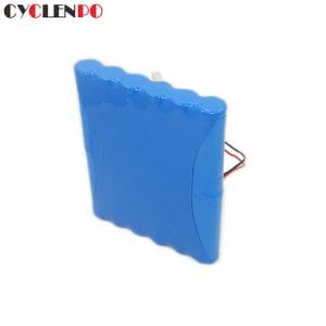 lithium ion rechargeable battery