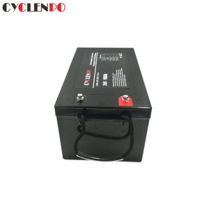 LiFePO4 Batterie 24V 150Ah - LiFeEnergy 24V150