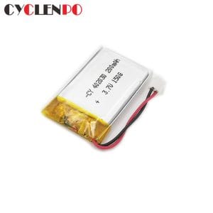 lithium ion polymer battery