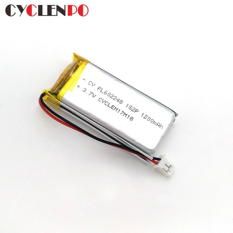 polymer battery