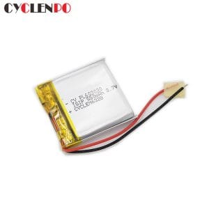 polymer battery