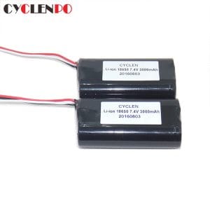 lithium ion rechargeable battery