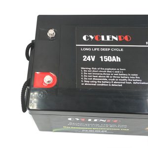 Batteria agli ioni di litio da 24 V 150 Ah