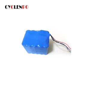 lithium ion rechargeable battery