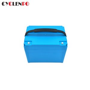 electric bike battery 48v 20ah