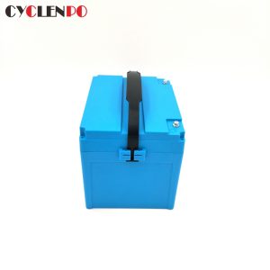 electric bike battery 48v 20ah