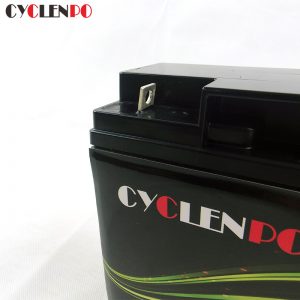 12v 12ah rechargeable battery