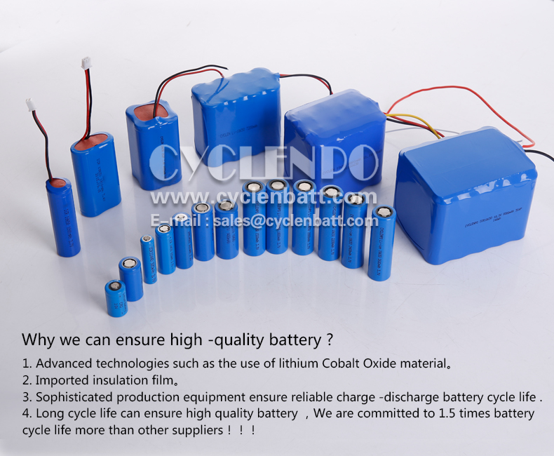 lithium ion battery manufacturers