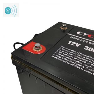 lithium ion battery 12v 300ah