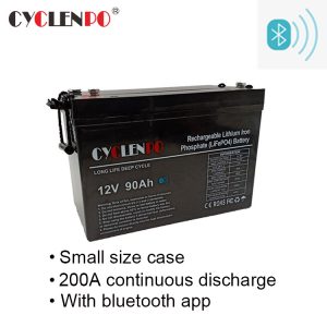 12v lithium ion battery manufacturers