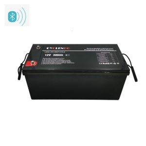 Lithium Ion Lifepo4 300Ah 12 Volt Battery With Bluetooth App Function