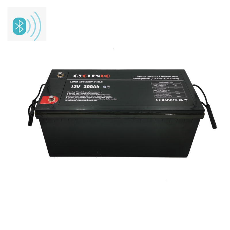 12V 300AH Lithium Iron Phosphate LiFePO4 Battery 3000 Cycles