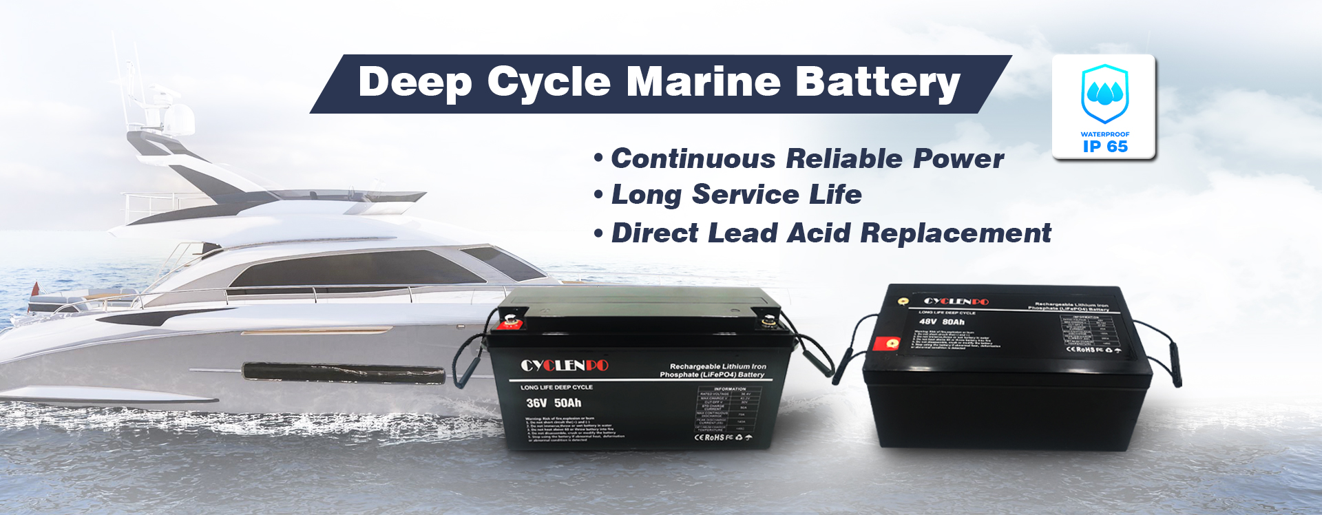 lithium lifepo4 battery supplier
