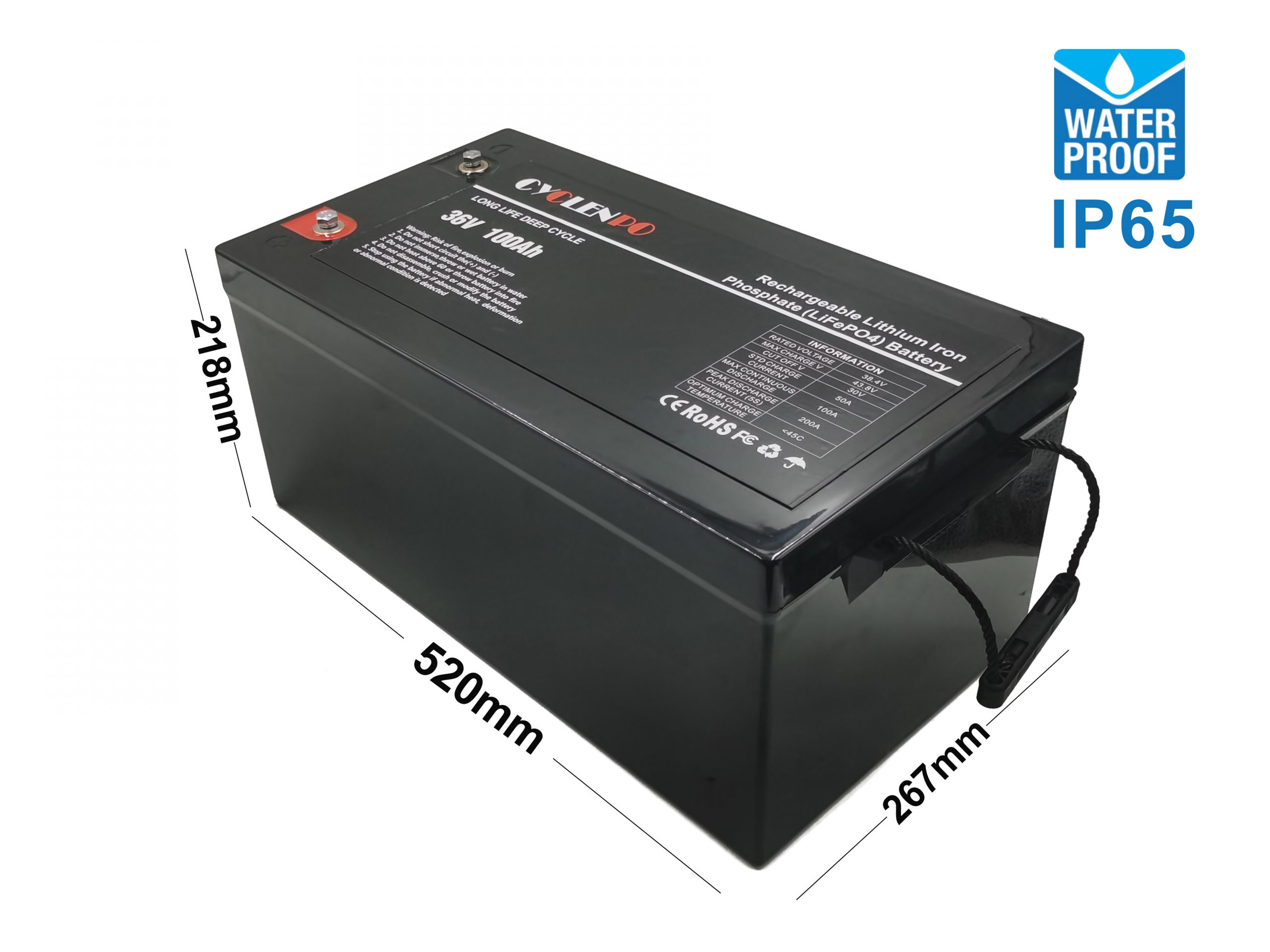 36V 50Ah LiFePO4 Lithium Iron Phosphate Deep Cycle Battery