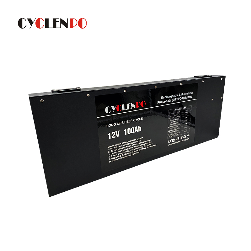 lithium ion battery 100ah