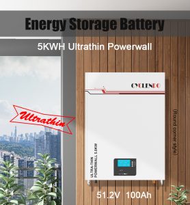 48v lithium ion battery 100ah