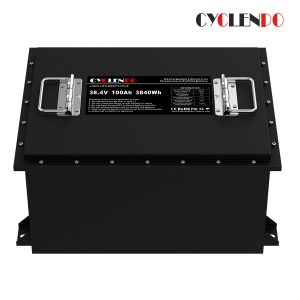 36v 100ah battery