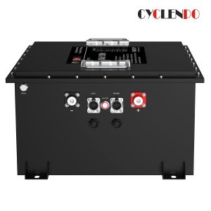 48v 100ah battery