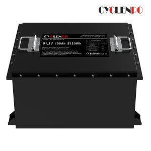 48v 100ah battery